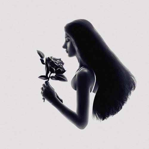 The Soul of The Rose