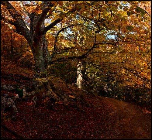 Тропа к источнику