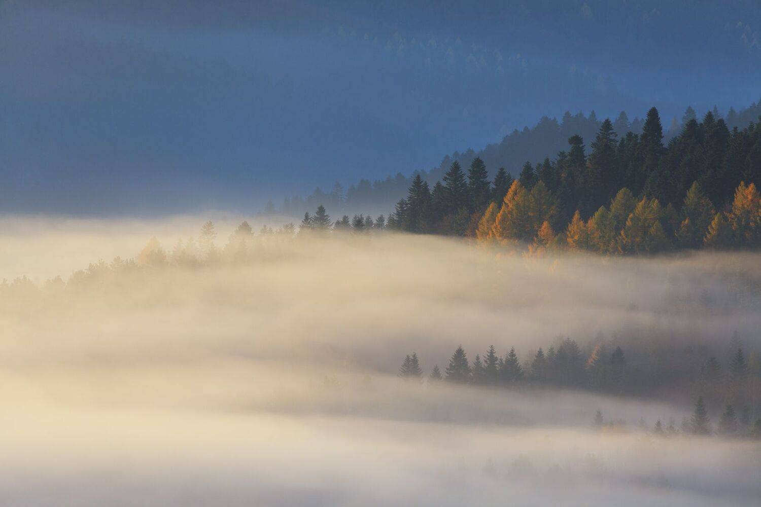 Автор: Mirosław Pruchnicki , Mirosław Pruchnicki