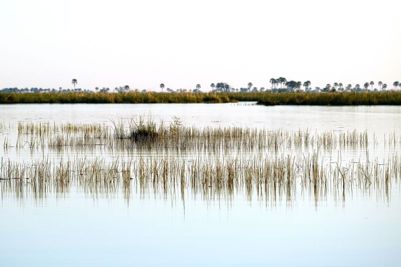 What\'s under?photo preview