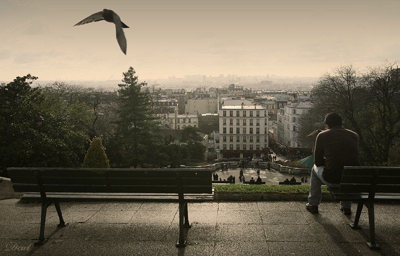 франция, , париж, утро, встречать, монмартр, голубь Встретить утро в Париже..photo preview