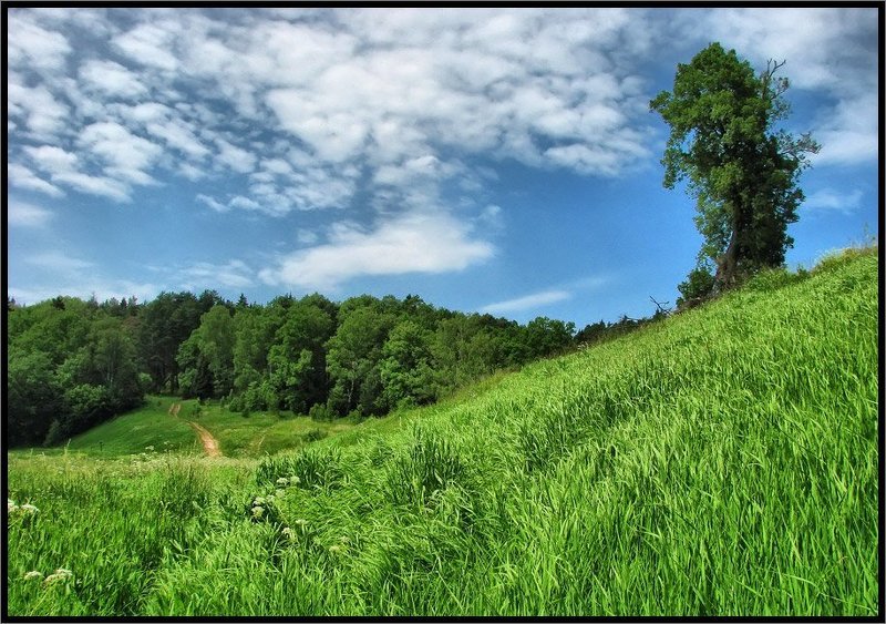 Изгойphoto preview