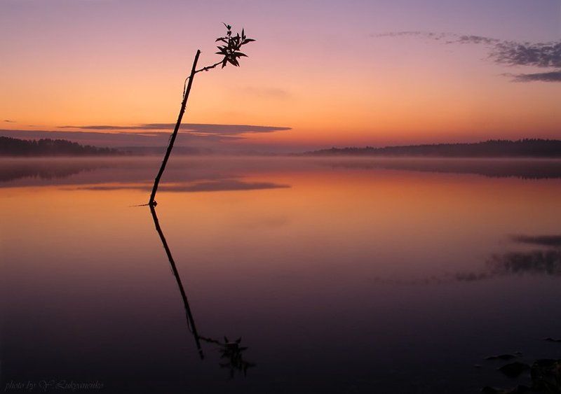 Началоphoto preview