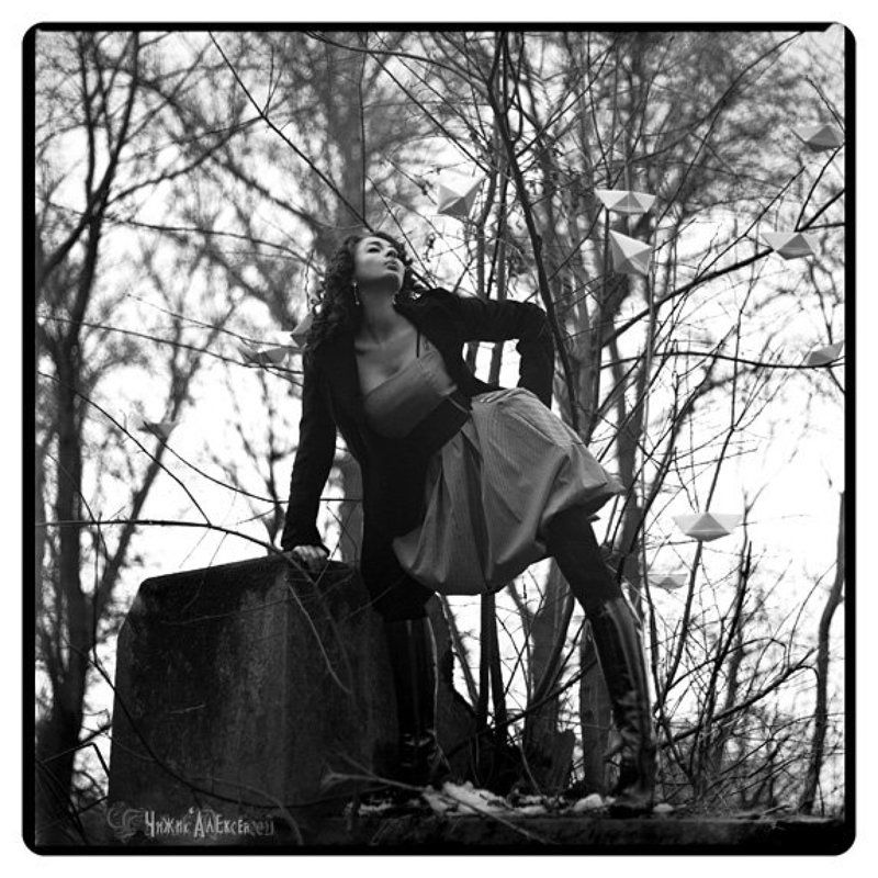 киев88 *photo preview