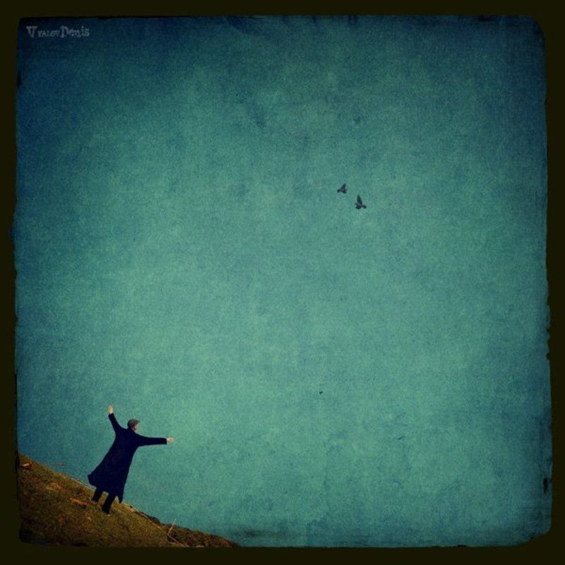 птицы Про птиц...photo preview