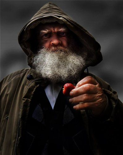 Властелин клубники