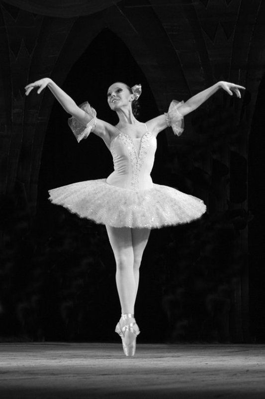 балет ГРАЦИЯphoto preview