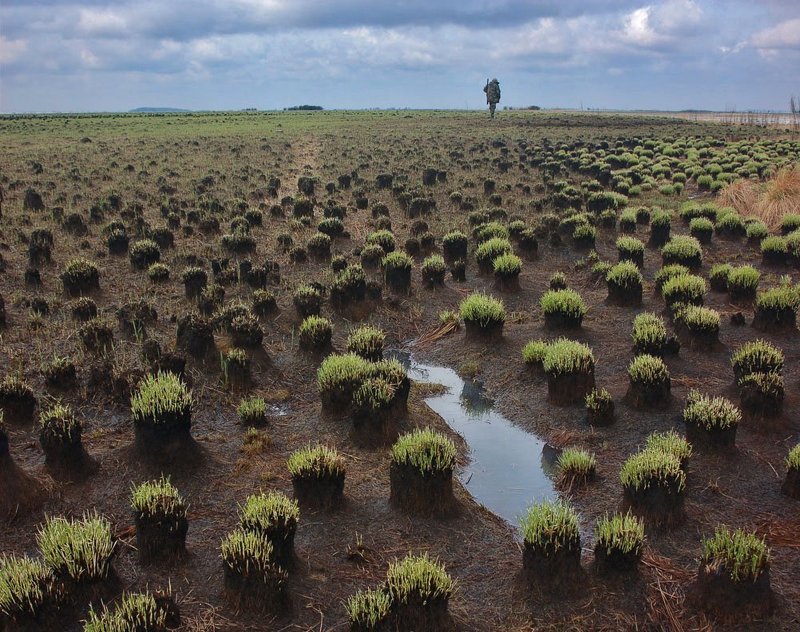 солдат Вселеннойphoto preview