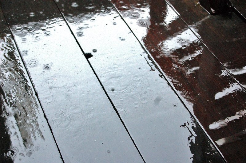 все капли дождя моиphoto preview