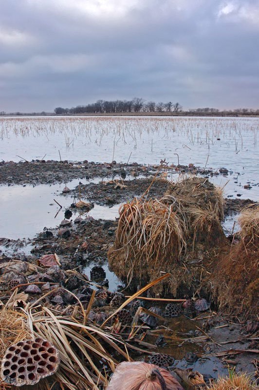 весна на Цветочном озереphoto preview