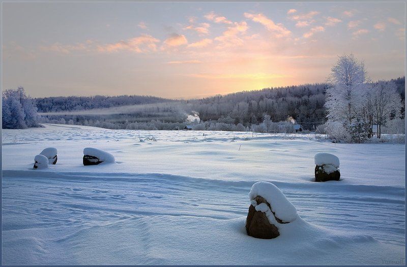 ПОЗДНЕУТРЕННЯЯ...
