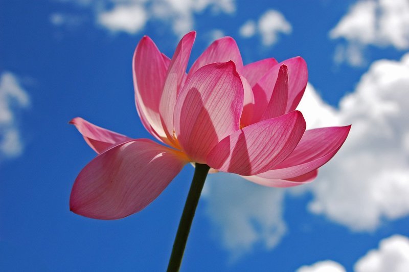 последний полётphoto preview