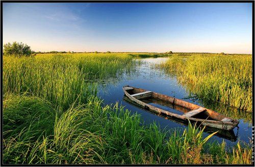 Тихие заводи