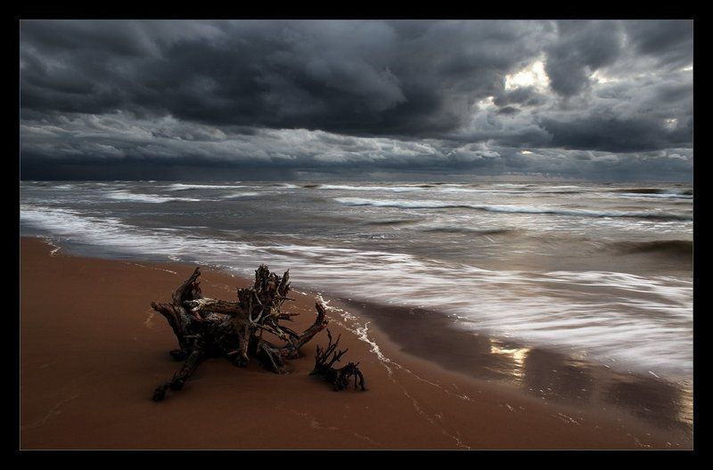 море, волны, коряга, облака, ветер, осень * * *photo preview