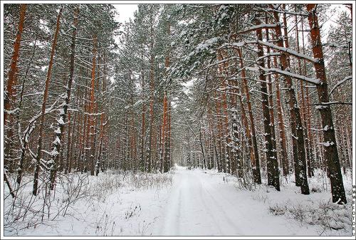 После снегопада