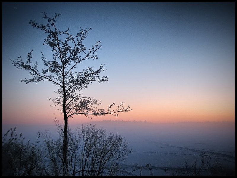 Морозное одиночествоphoto preview