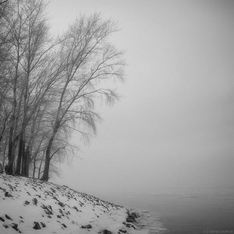 пейзаж, однобережье, дерево Однобережьеphoto preview