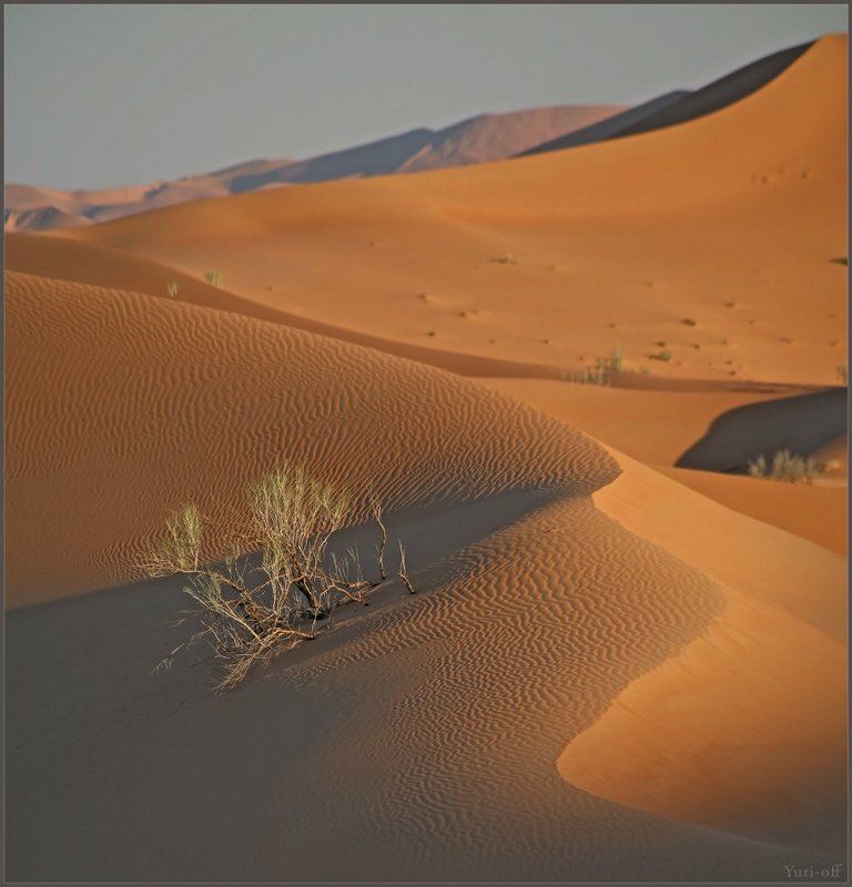ЛАКОНИЗМЫ RUB AL KHALI...