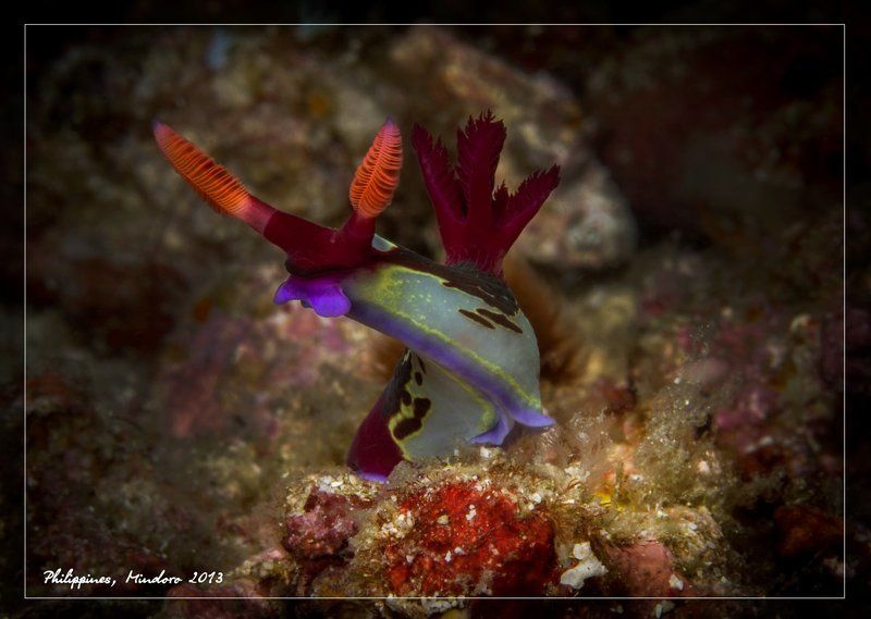 Привет!photo preview