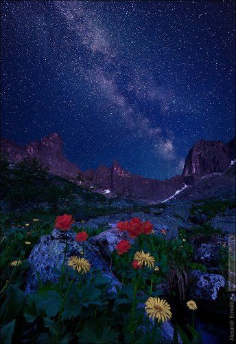 ~ Ночь горных духов ~