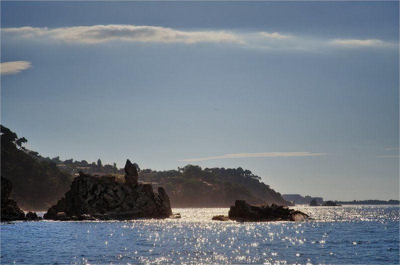 Мореphoto preview