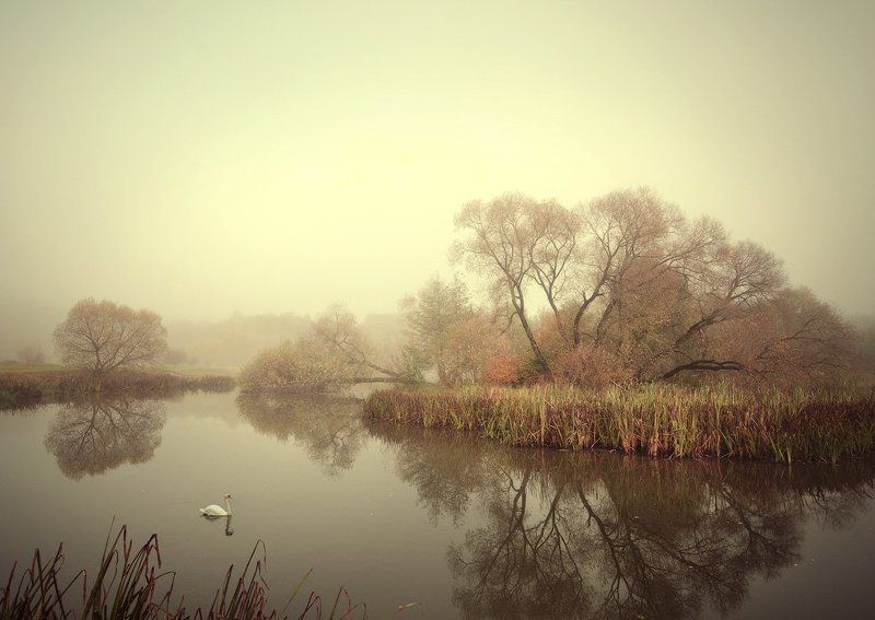 Тишинаphoto preview