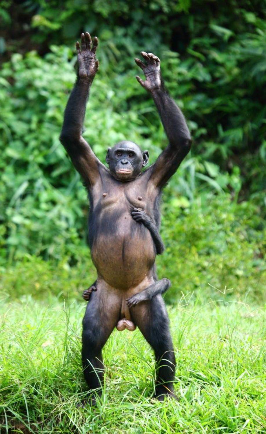 , Гудков Андрей