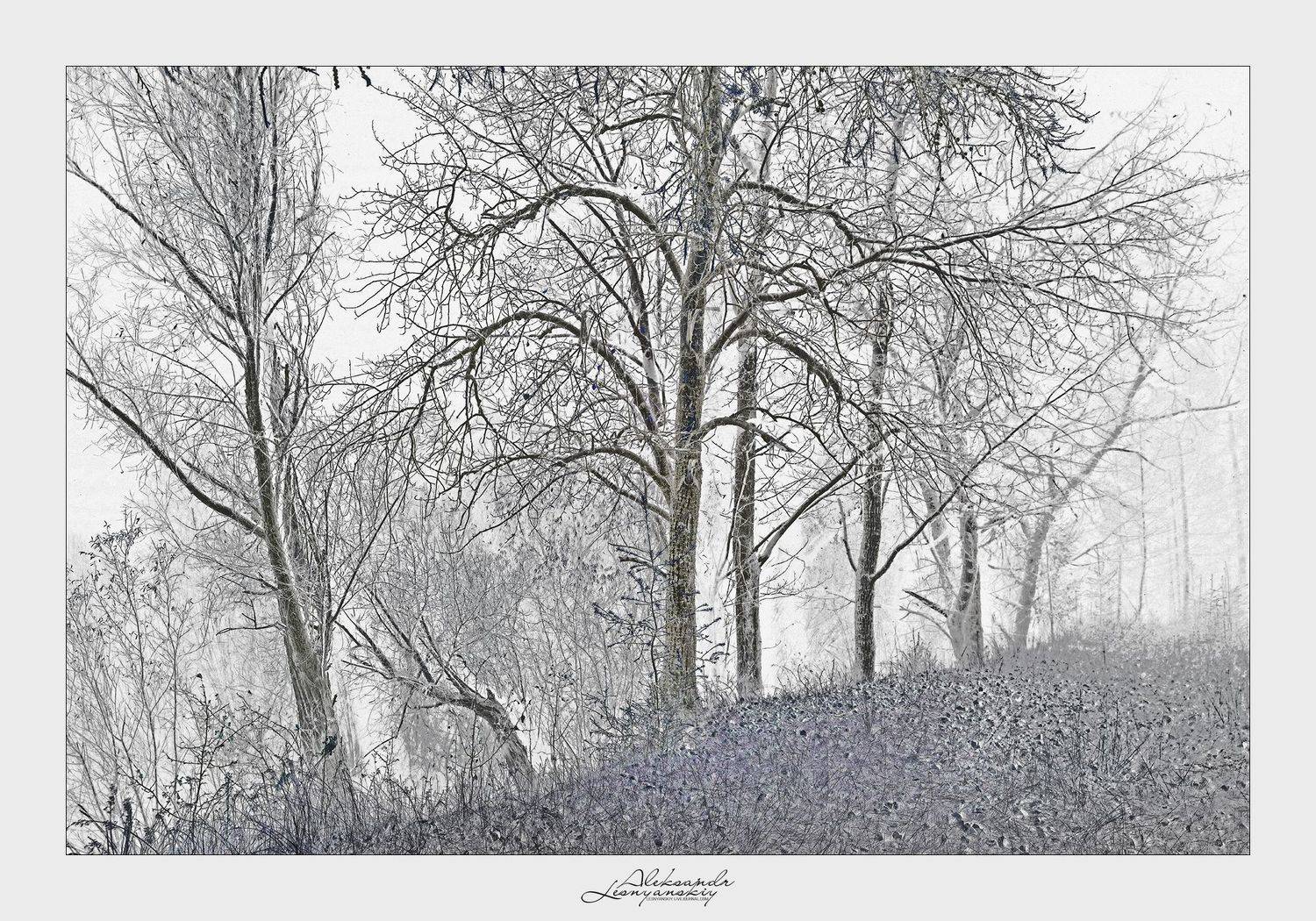 Забайкальский край, Александр Леснянский