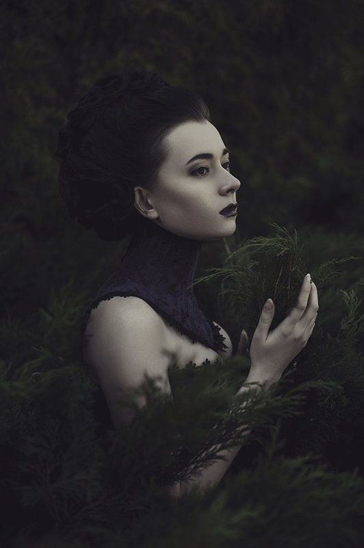 The Melancholy Fantasticphoto preview