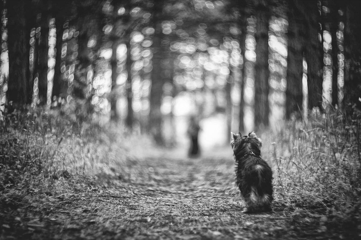 , Татьяна Аверина