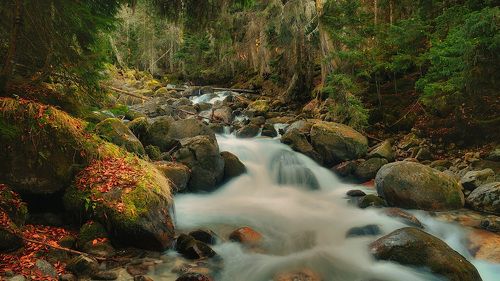 Бурлит Муруджу