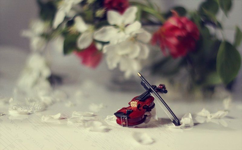 Весенняя сонатаphoto preview