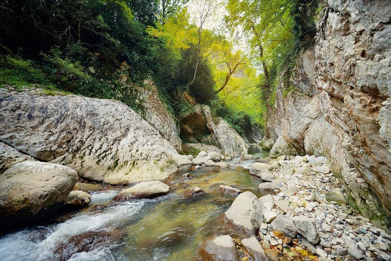 Горный ручейphoto preview