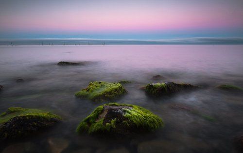 В предрассветной тишине