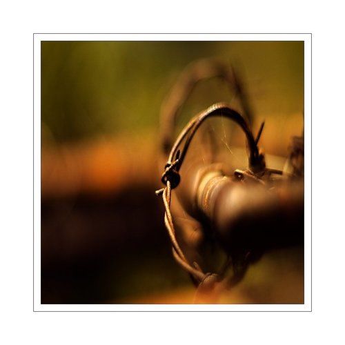 Old fence