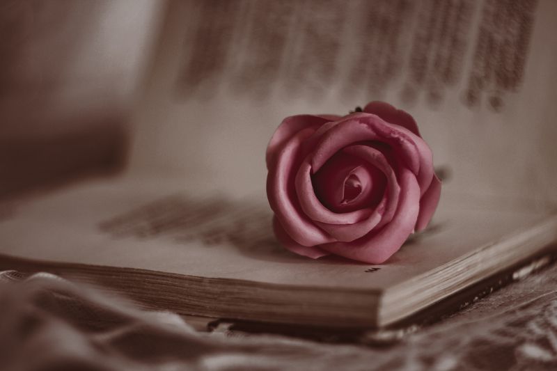 Нежностьphoto preview