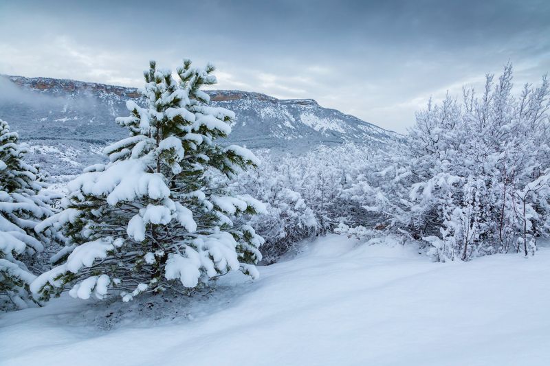 Крымская зимаphoto preview