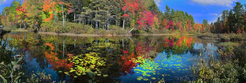 Along the roads ...photo preview