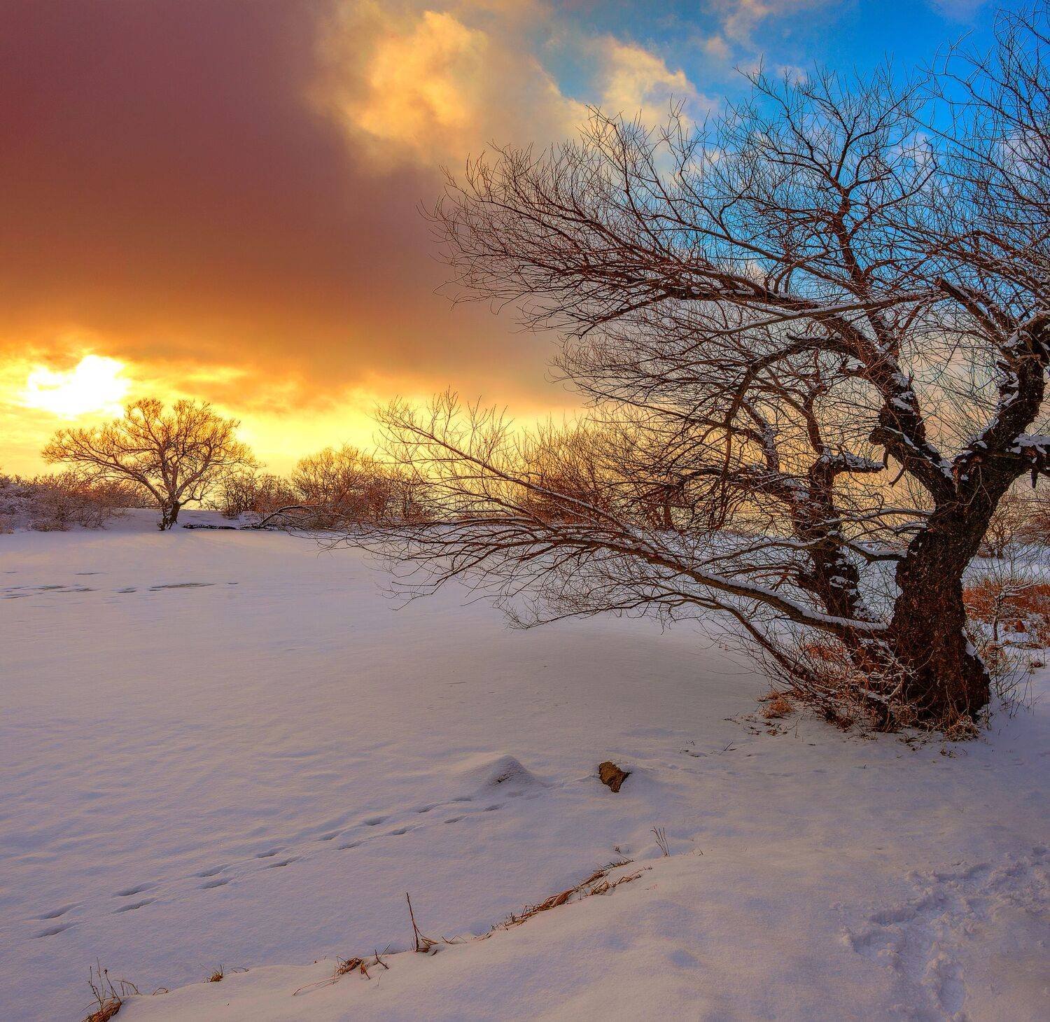 У замерзшего озера. Автор: Елена Брежицкая закат,зима,озеро,бештау,природа,пейзаж,брежицкая, Елена Брежицкая