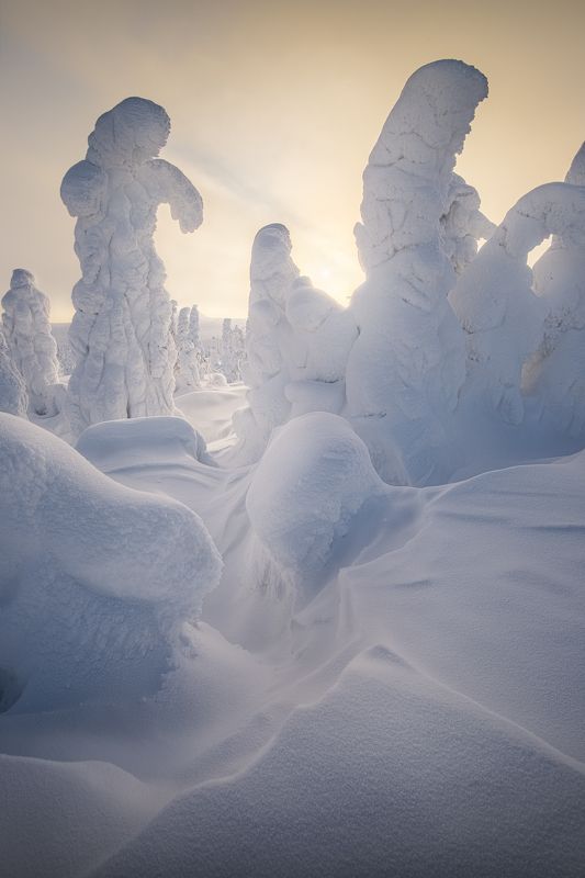 Озаряя мягкой улыбкой нового дняphoto preview