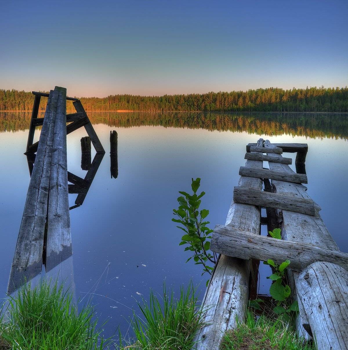 Утро на окунёвом озере. Автор: Nikolay , Nikolay