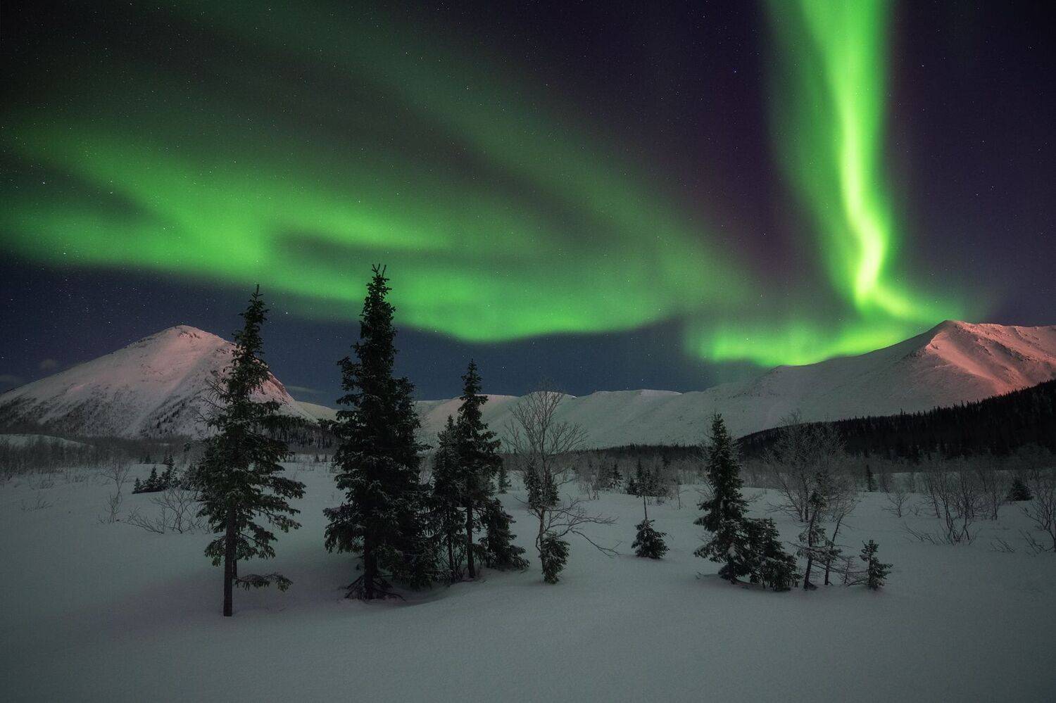 Автор: Виталий Истомин , Виталий Истомин