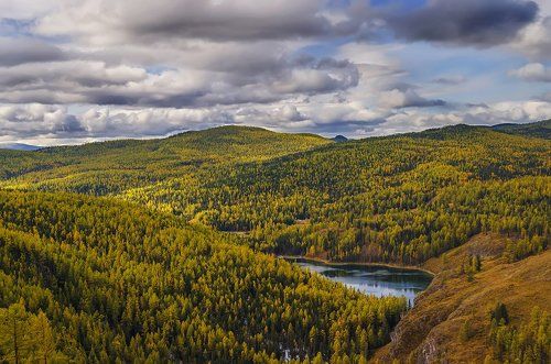 Покрывало осени
