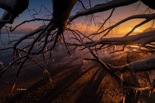 At the Baltic sea.