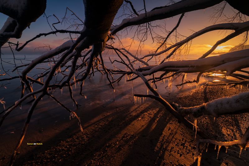 Baltic Sea, landscape, sea, sunrise, roots, branches, trees, water At the Baltic sea.photo preview