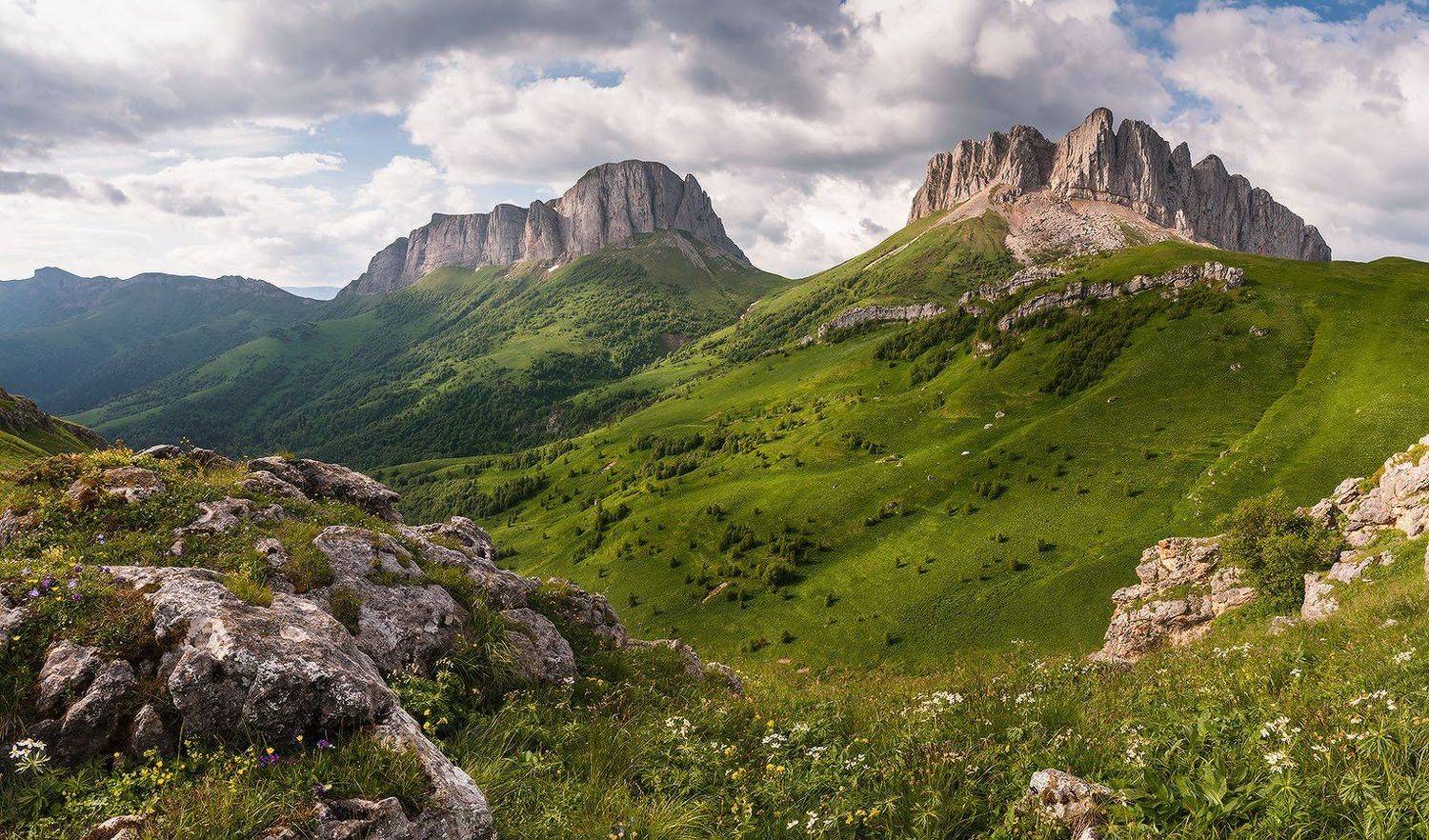Там где живут медведи. Автор: Николай Мысливцев западный, кавказ, ачешбок, лето, июнь, Николай Мысливцев