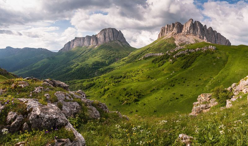 Там где живут медведиphoto preview