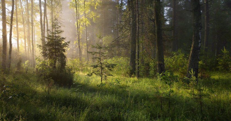 Утренний моционphoto preview