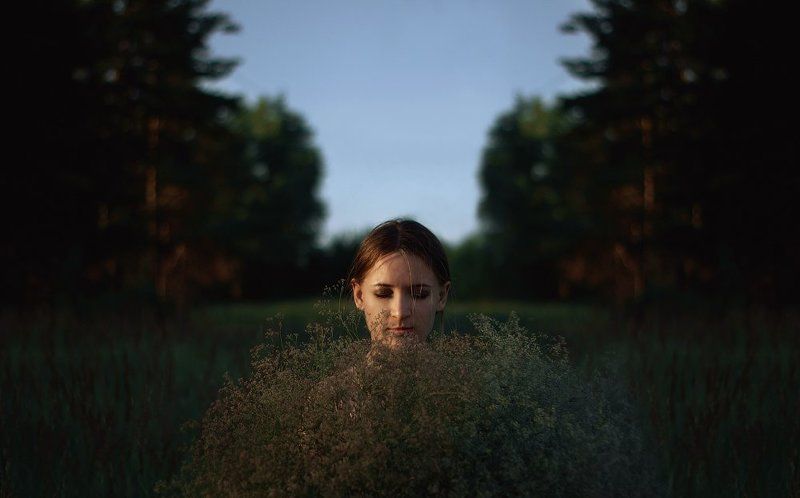 небесные цветыphoto preview