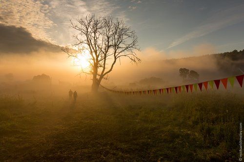Доброе утро